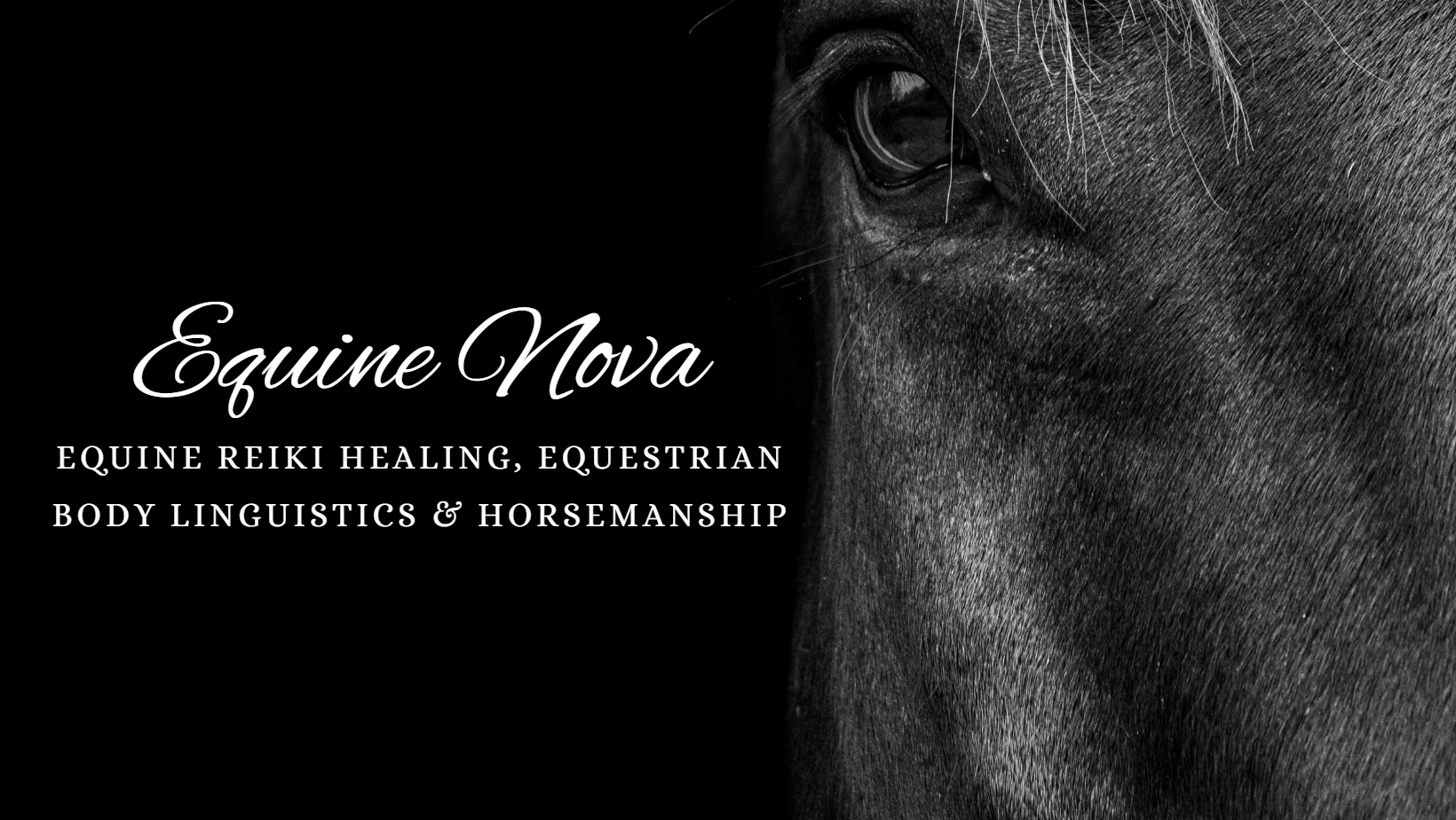 Equine Nova