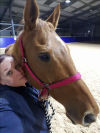 Equine Nova